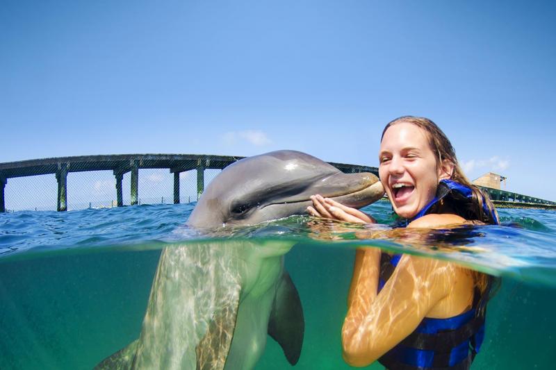 Menina dando beijo em golfinho