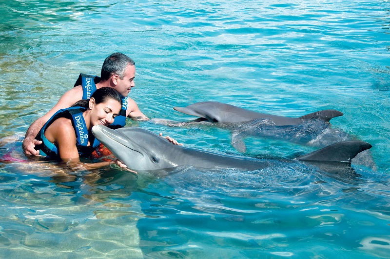 Passeio romântico para nadar com os golfinhos em Punta Cana