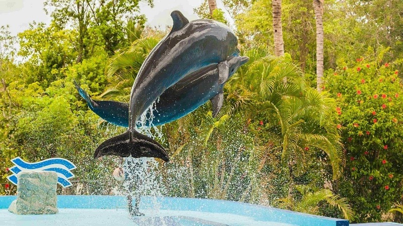 Manati Park - Golfinhos