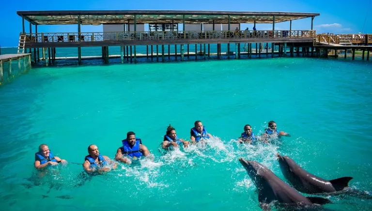 Nado com os golfinhos em Punta Cana