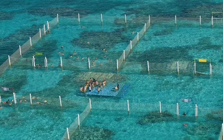 Passeio de barco e snorkel no Marinarium em Punta Cana