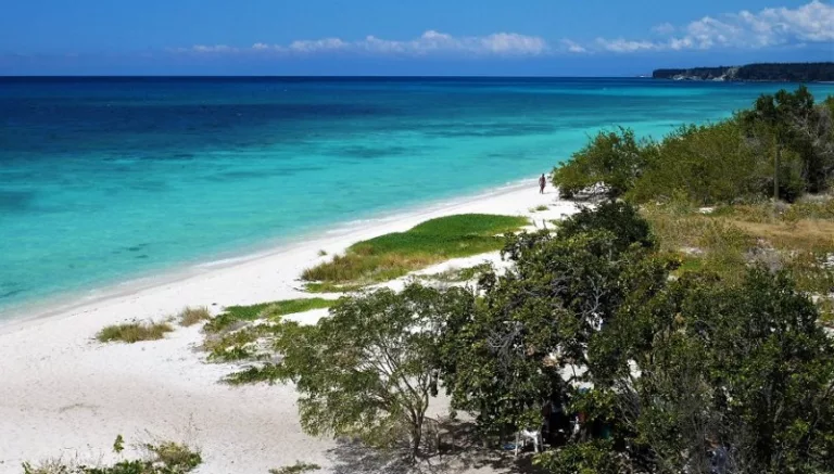 Excursão à Bahía de las Águilas saindo de Punta Cana