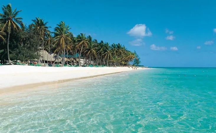 8 atrativos imperdíveis para o verão em Punta Cana